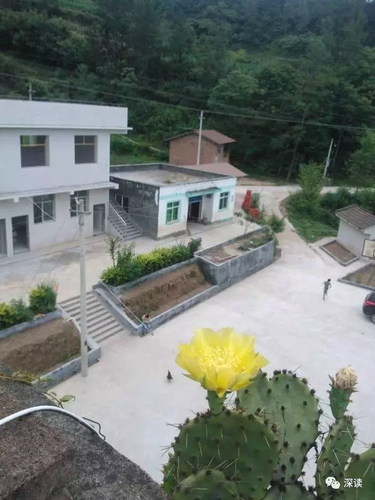 男子贴公告拒参加酒席:当地办一次酒席能赚半套房