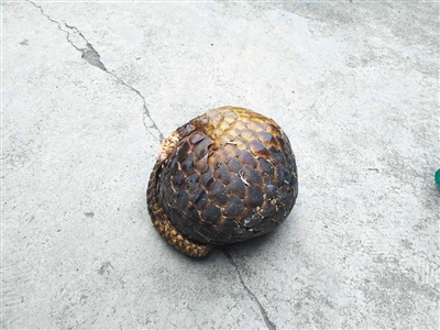 1120492509_14875461024461n 1120492509_14875461024461n