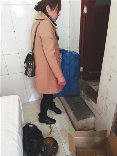 1575194_500x500 1575194_500x500