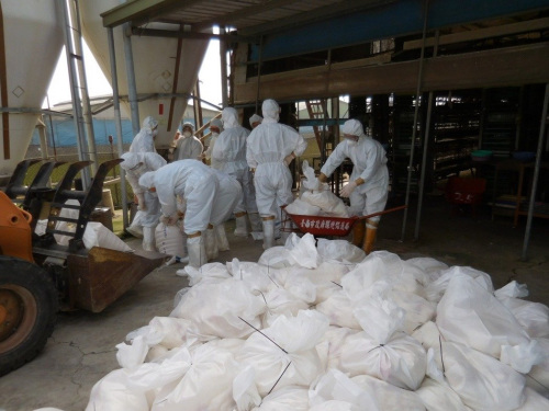 台南下营一处蛋鸡场，检验出H5N2，动保处人员扑杀7782只蛋鸡。来源：台湾《联合报》(台南市农业局动保处提供)