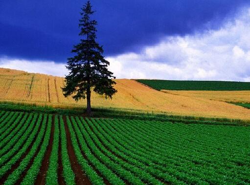 20141005042127813 20141005042127813