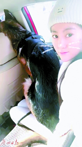 90后“宠物殡葬师”徐雅婷说，创业初衷是送宠物最后一程。