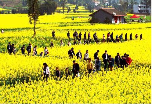 W020170221358386852186 W020170221358386852186