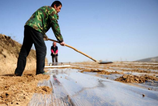 QQ截图20170221161341 QQ截图20170221161341