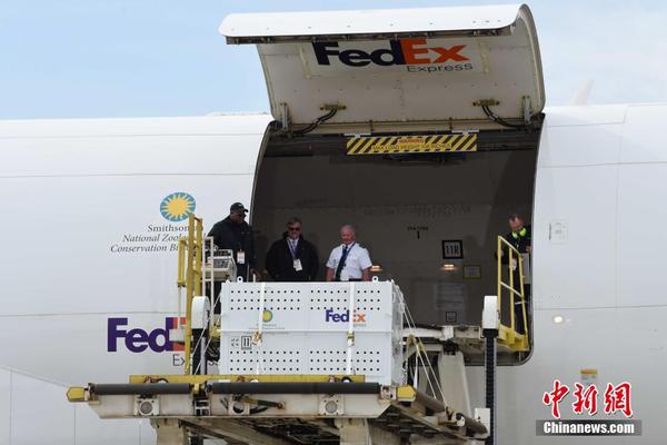 bf6b426ec44740e0ad9afd1114ccf2ea bf6b426ec44740e0ad9afd1114ccf2ea