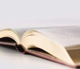 t010fc5fec89bae7f5c t010fc5fec89bae7f5c