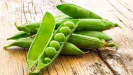 MAIN201702221353562058800512711 MAIN201702221353562058800512711