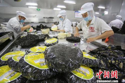 工人在包装紫菜?！±钪窘?摄