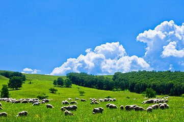 t017cb30cf20d8db29a t017cb30cf20d8db29a