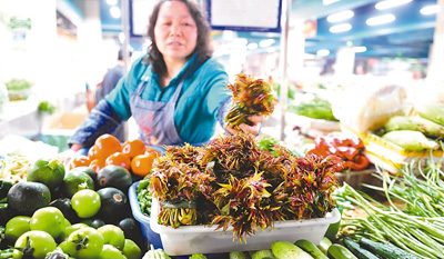 1487874878080_1 1487874878080_1