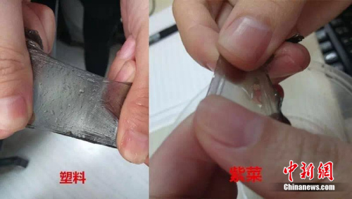 真紫菜泡水后吸收水分，光滑，而塑料薄膜不吸水，不光滑。制图：<a target='_blank' href='http://www.chinanews.com/' >中新网</a> 邱宇