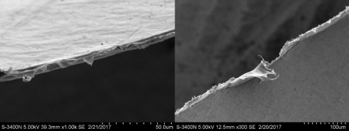 塑料袋样品断面的扫描电镜结果。来源：北京市食药监局供图。
