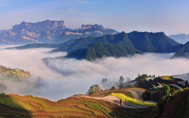 t015b74199c520ff29e t015b74199c520ff29e