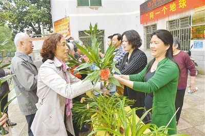 1120527571_14879813661821n 1120527571_14879813661821n