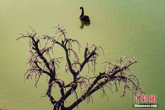 点击进入下一页