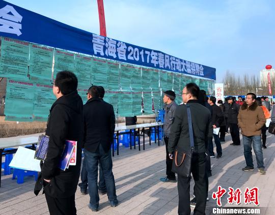 图为应聘者在寻找着适合自己岗位的单位?！∷镱?摄