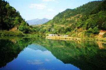 t0153169256fc86a71e t0153169256fc86a71e