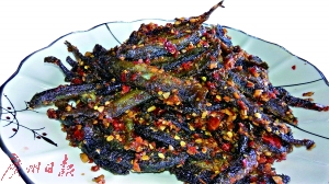 17971354720626270647 17971354720626270647