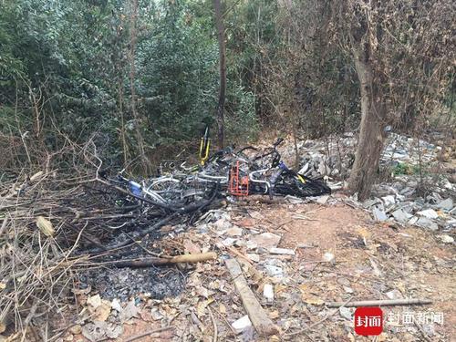 华西都市报-封面新闻讯（记者 李逢春 李天宇）2月26日，10多辆共享单车在成都锦江区三圣乡一个停车场被人纵火烧毁，本报第一时间报道，并根据采访对象描述，指出最大嫌疑可能是被冲击生意的三圣景区一些自行车租赁老板。
