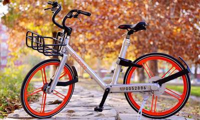 t0187be59db1195b096 t0187be59db1195b096