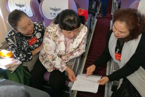 飞机上的议政1 飞机上的议政1