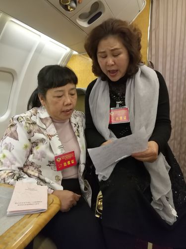 政协委员放歌两会1 政协委员放歌两会1