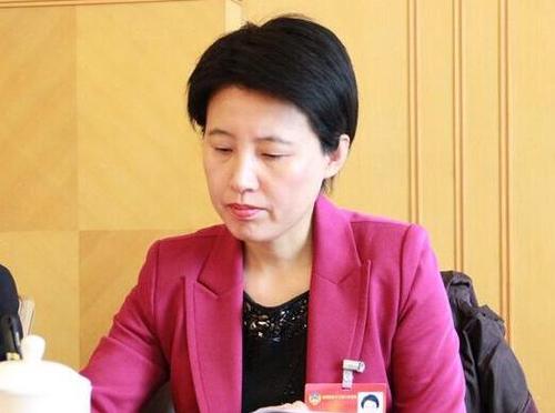 全国政协委员岳泽慧 图片来源于网络 全国政协委员岳泽慧 图片来源于网络