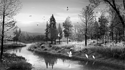 1120553821_14884139277611n 1120553821_14884139277611n