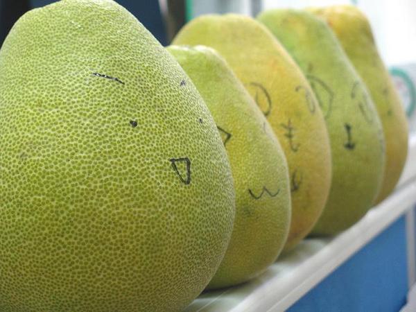 除甲醛的五大谣言 看看有没有你中招的？ 