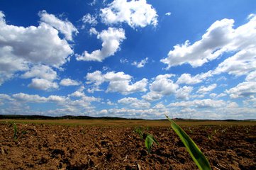 t01d921e185828cecd9 t01d921e185828cecd9