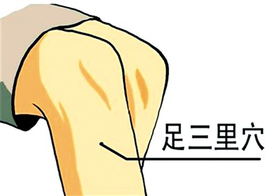 17829185097333167622 17829185097333167622