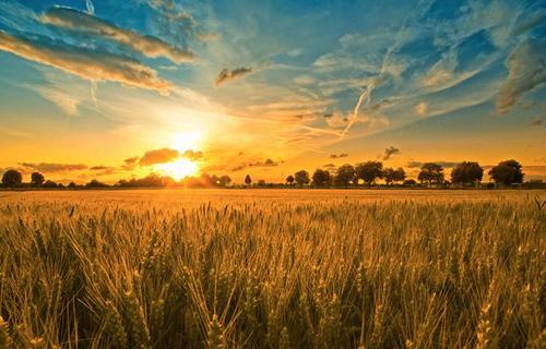 20160323160310_d73dad27338c7dc35fda798fdd27bc92_2 20160323160310_d73dad27338c7dc35fda798fdd27bc92_2