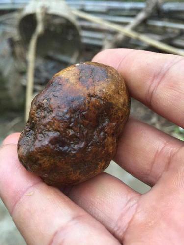 Img482364522 Img482364522