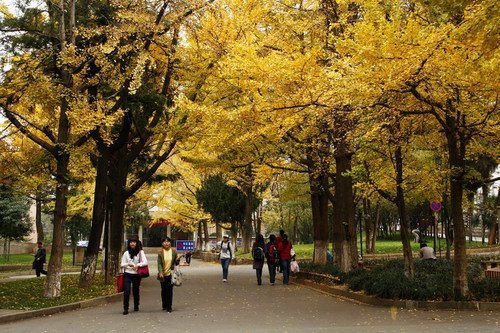 1195428463576 1195428463576