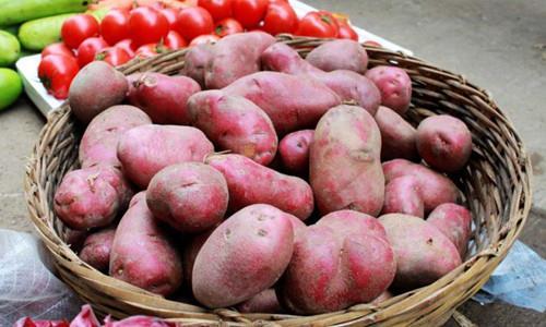 u=1128041011,1803800709&fm=23&gp=0 u=1128041011,1803800709&fm=23&gp=0