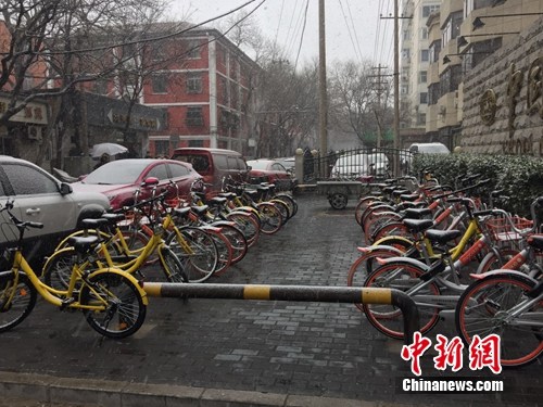 风雪中的共享单车。<a target='_blank' href='http://www.chinanews.com/' >中新网</a> 吴涛 摄