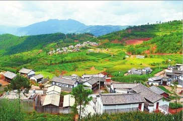 t016491aed32196ceab t016491aed32196ceab