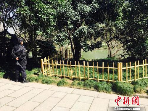 瘦西湖“天鹅蛋被踩”事件追踪涉事游客系15岁男孩