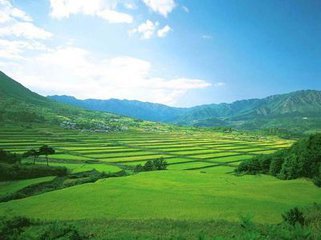 t01604eaa62d635dba9 t01604eaa62d635dba9