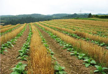 t014808c89472d8bef5 t014808c89472d8bef5