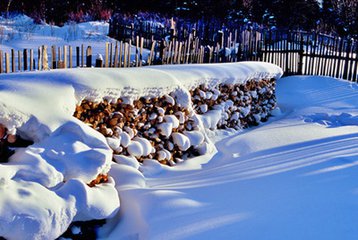 t019539c3e758e50b5d t019539c3e758e50b5d