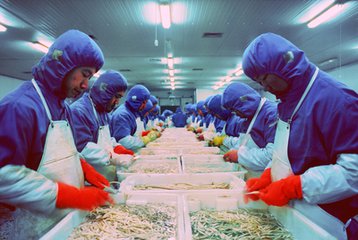 t0146a6c65fbe920333 t0146a6c65fbe920333