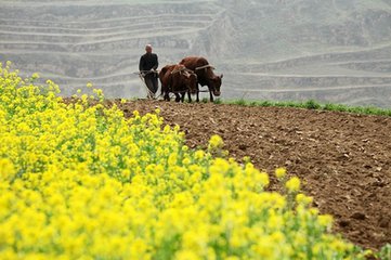 t01393c8d98e34b6ebd t01393c8d98e34b6ebd