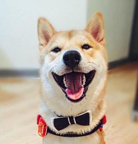 W020170310322035383069 W020170310322035383069