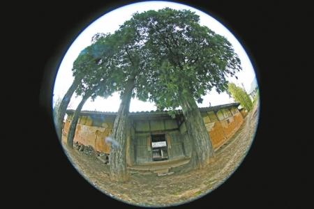 点击进入下一页