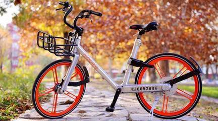 t0164f31075bee9698e t0164f31075bee9698e