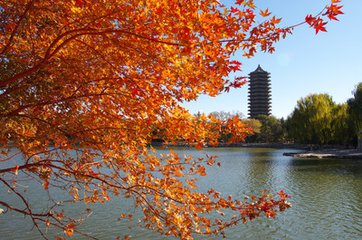 t01dbdb1ff28b36d577 t01dbdb1ff28b36d577