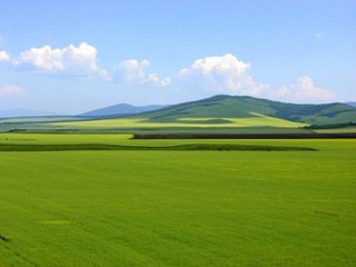 t0186298df2726a4d06 t0186298df2726a4d06