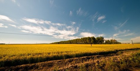 t01973fa215a91f36c7 t01973fa215a91f36c7