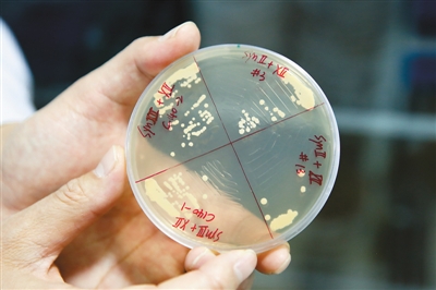 rmrbhwb2017031102p31_b rmrbhwb2017031102p31_b